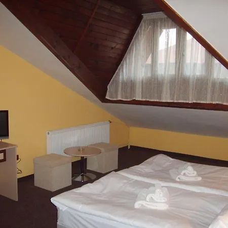 Rodina Hotel 3*
